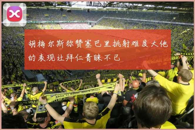 胡梅尔斯称赞塞巴里挑射难度大他的表现让拜仁青睐不已